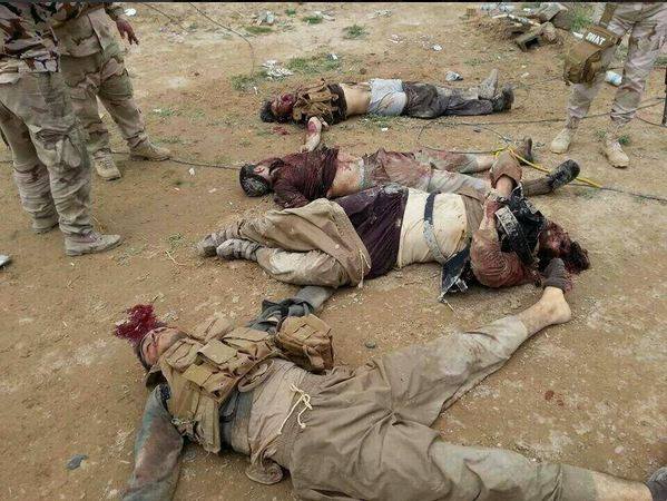 مقتل 15 داعشيا وتدمير 5 عجلات في المحور الشمالي للعمليات العسكرية شمالي الرمادي