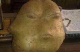 حبة بطاطا بشكل وجه إنسان +صورة