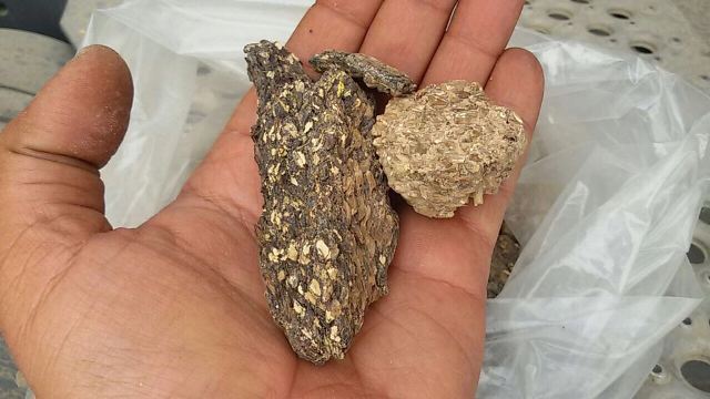 بالصور.. الحنطة الفاسدة في باخرة "أفريكانو" ونصيف تؤكد تسرب جزء منها لديالى