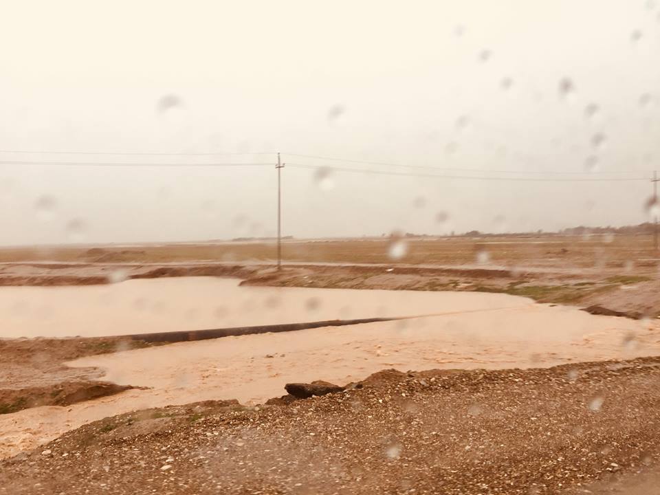 متنبئ جوي : هذه المناطق ستشهد أمطارا خلال نهاية الأسبوع