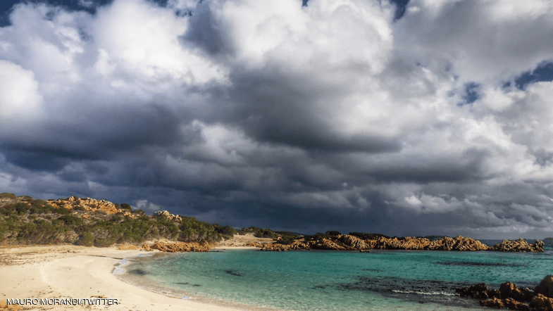 وحيد في جزيرة.. نجم جديد على شبكات التواصل