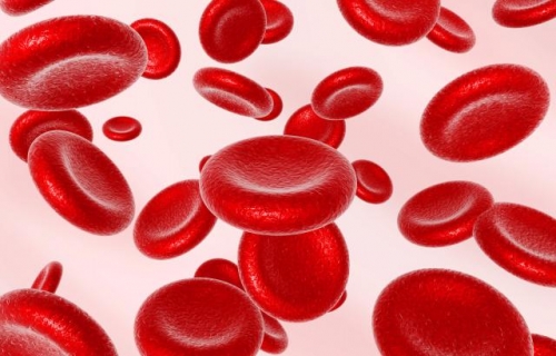 العراق يتصدر الدول العربية بأمراض الدم