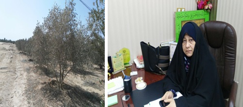 مسؤول محلي :عمولات السمسرة والسفريات للخارج وراء عرقلة مشاريع العتبتين الحسينية والعباسية في كربلاء