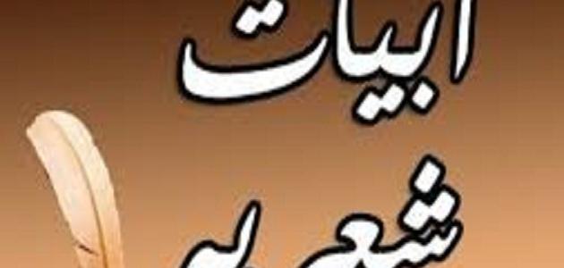 من قطاف المرجعية السديدة ,,,, (المجرب لايُجرب)