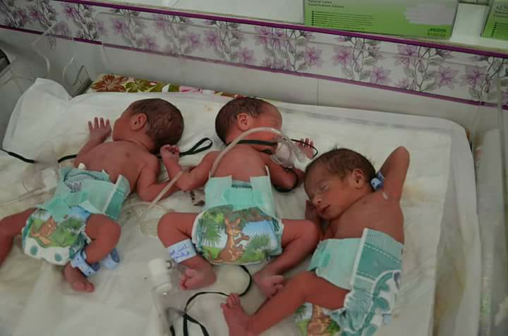 ولادة ثلاث توائم ( ذكور ) لسيدة في قضاء الهندية بكربلاء بعد عقم أولي دام اكثر من ( 6 ) سنوات