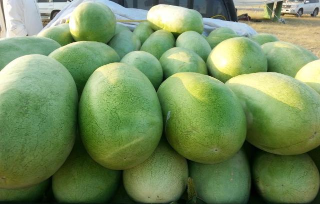 منطقة العظيم تغرق محافظات العراق بالرقي