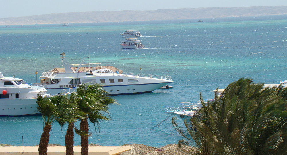 لأول مرة في مصر.. ظهور أكبر كائن بحري على وجه الأرض (فيديو)