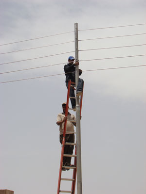 كهرباء كربلاء :باشرنا بتنفيذ الشبكة الكهربائية  لحي الفارس (مصور)