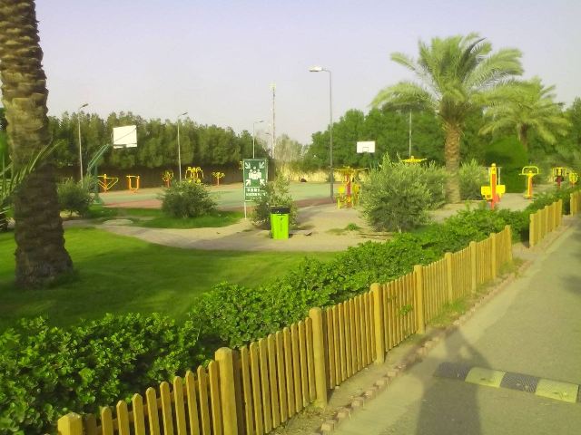 بالصور.. صينيون يتحدون قساوة الصحراء ويعيدون الحياة لمنطقة ميتة في العراق