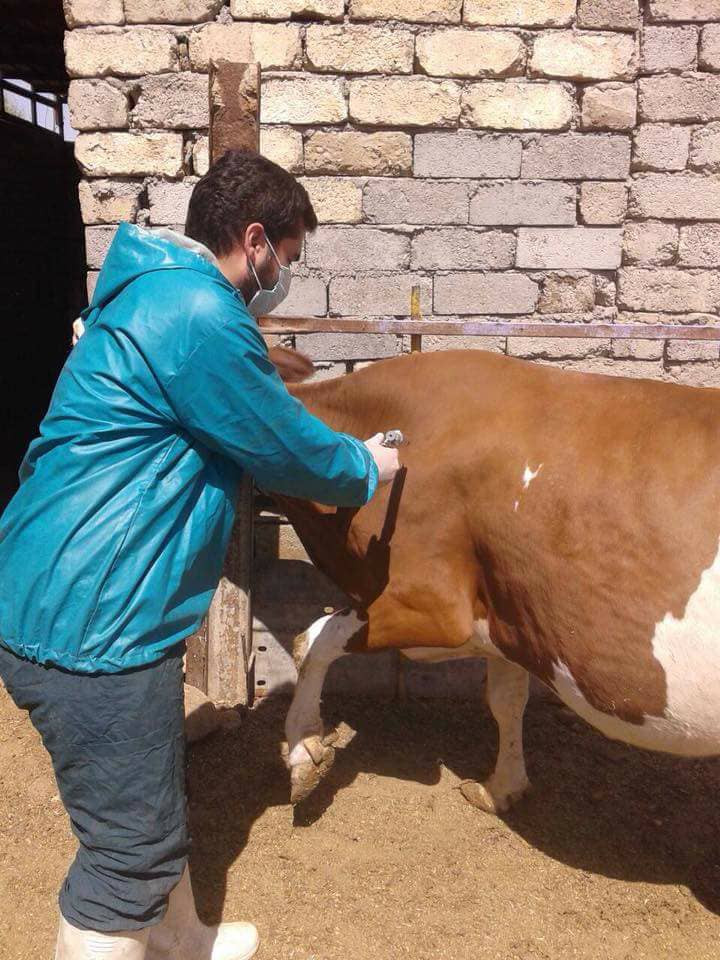 الاتحاد المحلي للجمعيات الفلاحية في كربلاء يدعو مربي المواشي الى مراجعة المستوصفات البيطرية