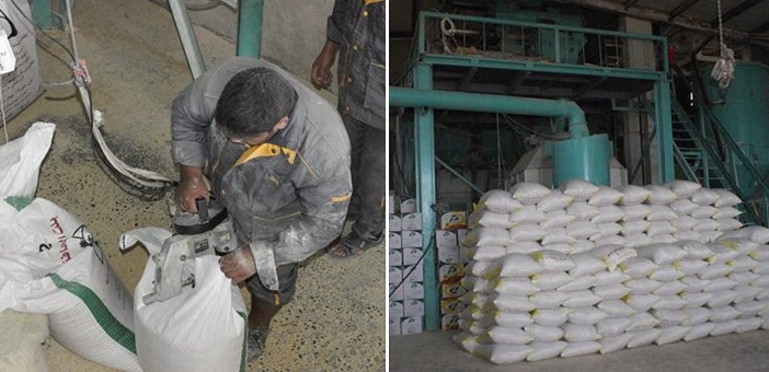 زراعة كربلاء: معامل انتاج العلف في كربلاء تنتج 5800 طن من أعلاف الحيوانات في المحافظة