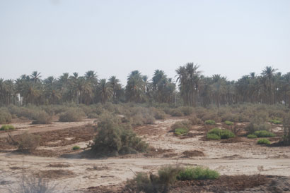 6000 نسمة بقرية في كربلاء يعانون من نقص في الخدمات الانسانية كافة(مصور)