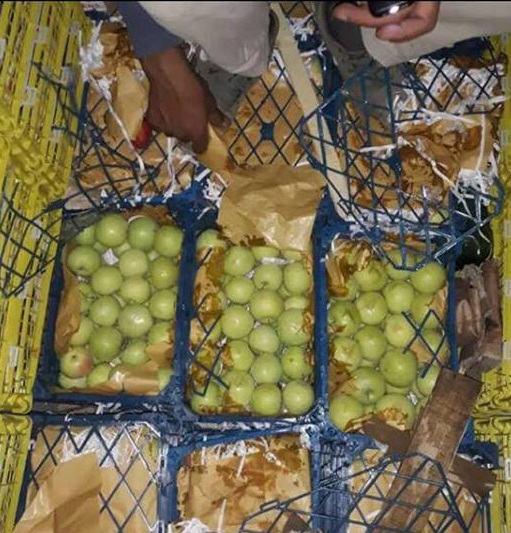 العراق يحبط محاولة تهريب تفاح ايراني ممنوع من الأستيراد في احد المنافذ الحدودية