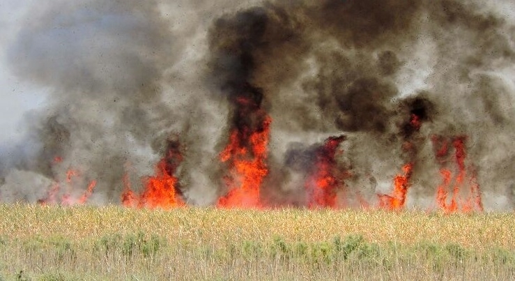 العراق يستغيث بالمنظمات الدولية لانقاذ هور الحويزة من الحرائق