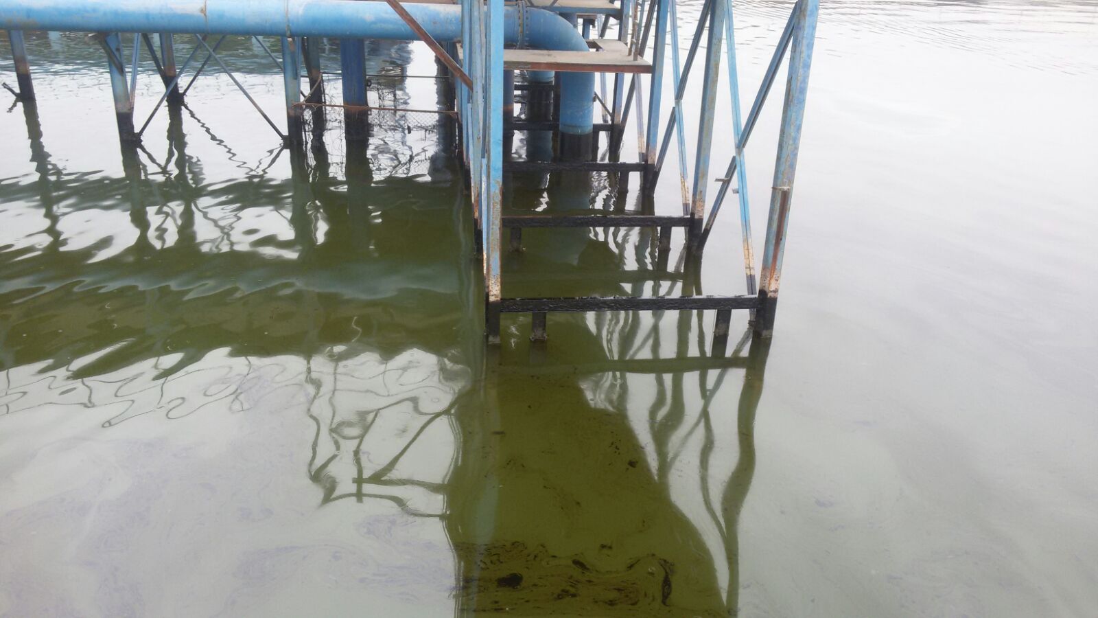 البيئة: تلوث المياه يثير القلق ويجب عدم تصريف مياه الصرف الصحي بالمصادر المائية