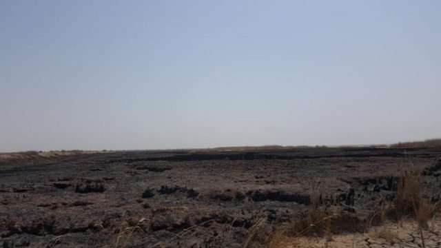 الزراعة تنفي اتهام ايران بعملية حرق أهوار الحويزة