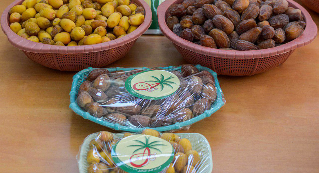 مزرعة نخيل تابعة لمرقد الامام الحسين تزود السوق باصناف نادرة من التمور