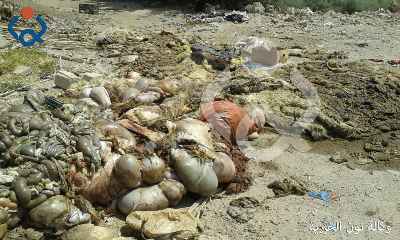 بالصور.. تحذيرات من انتشار الامراض بين الكربلائيين بسبب "الجزر في الشوارع"