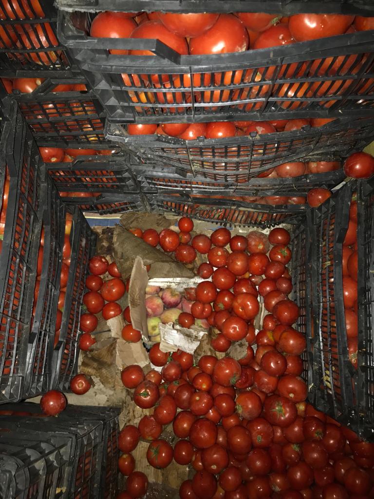 بالصورة..  الكمارك تعلن ضبط (٤) أطنان من التفاح الإيراني "الممنوع من الاستيراد"