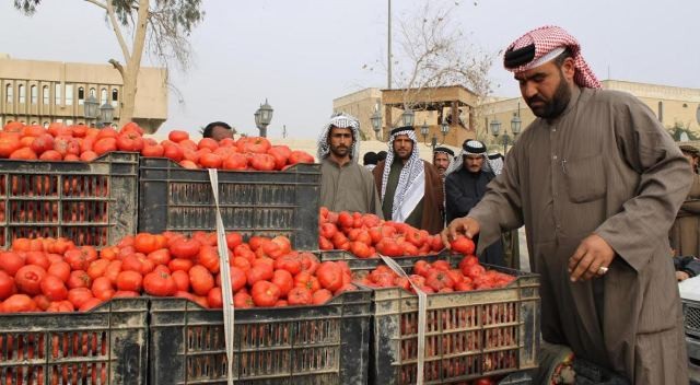 ناشطون يطلقون #خلوها_تعفن لخفض أسعار الطماطم