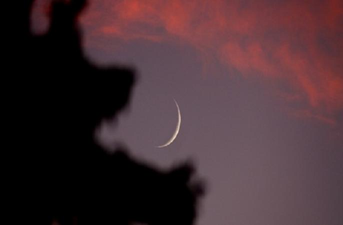 مكتب المرجع السيستاني يحدد اليوم الاول لشهر صفر