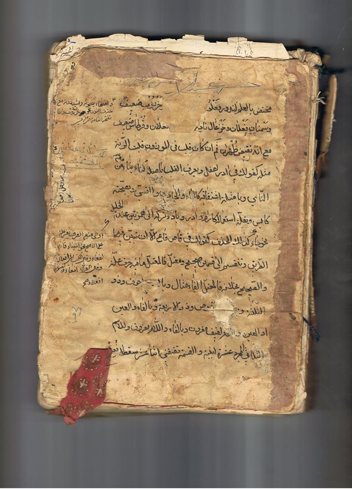 عائلتي و المحافظ المؤدلج