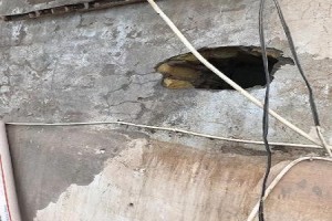 هروب خمسة محكومين من سجن النجف والمحافظ يوقف ضابطين