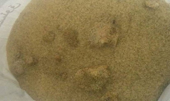 النزاهة تضبط كميات كبيرة من الرز غير الصالح للاستهلاك في أحد سايلوات وزارة التجارة