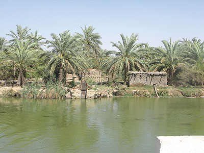 اصابة 6 زوار ايرانيين بانقلاب مركبتهم غربي البصرة