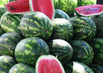 وزارة الزراعة تسمح بإستيراد مادتي الرقي والبطيخ