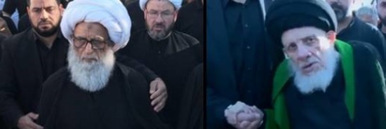 بالصور:المرجعان النجفي والحكيم يشاركان الحشود المليونية بالسير الى كربلاء