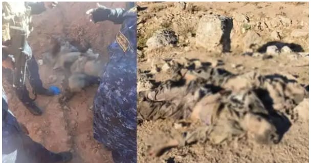 مقتل 19 إرهابيا وضبط أسلحة تابعة لهم في مخمور