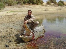 مقتل تمساح الديوانية +صوره