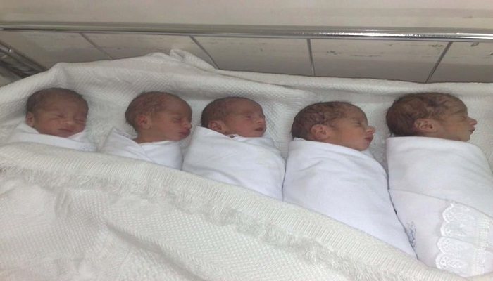 كربلاء تشهد نسبة ولادات هي الاعلى خلال الاشهر الثلاثة الماضية