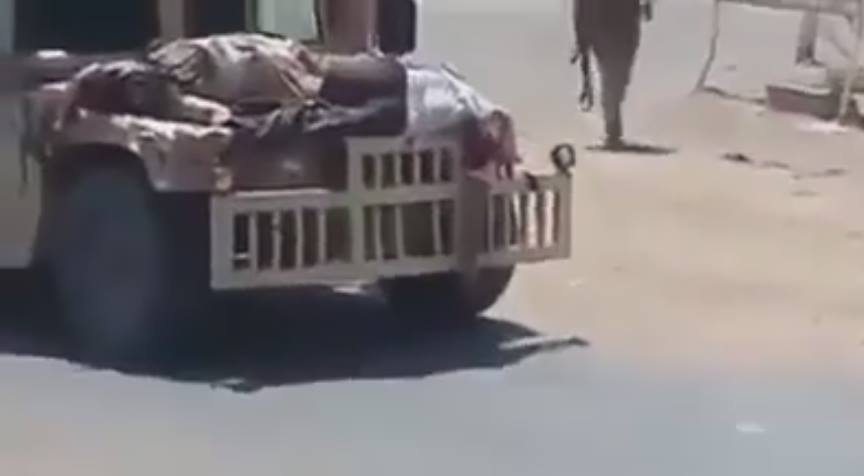 بالفيديو: صيد الدواعش في ال بو فراج بالانبار