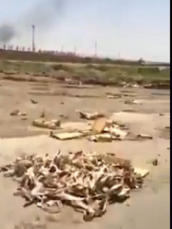 بالفيديو :تعرف على اسباب صمود الدواعش داخل مصفى بيجي قبل سحقهم