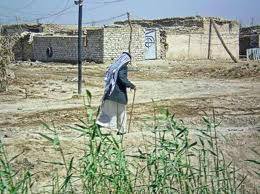 كربلاء تقرر شمول مناطق البستنة بخدمات الصرف الصحي وتعبيد الطرق