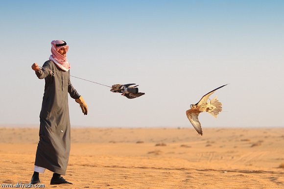 المثنى: القوات الامنية تبحث عن الصيادين القطريين المخطوفين في بادية السماوة