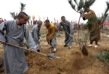 لأجل البيئة: العالم يزرع أشجارا اكثر من عدد سكانه