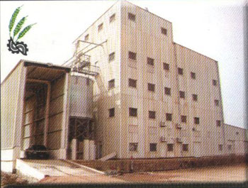 كربلاء شهدت افتتاح اول مطحنة حكومية بطاقة انتاجية (150 طن يوميا)