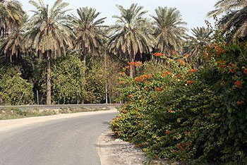 العمل بمشروع طريق الشبانات في محافظة كربلاء