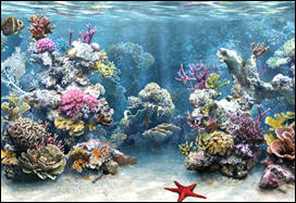 العثور على ميکروبات تعيش على عمق قياسي تحت قاع المحيط