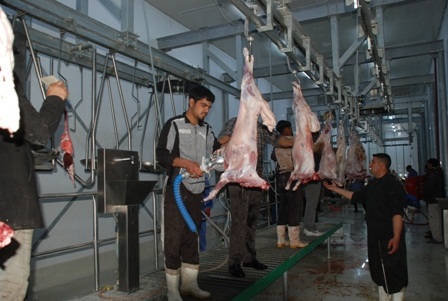 كربلاء تباشر بتشغيل تجريبي لمجزرتها النموذجية (مصور)