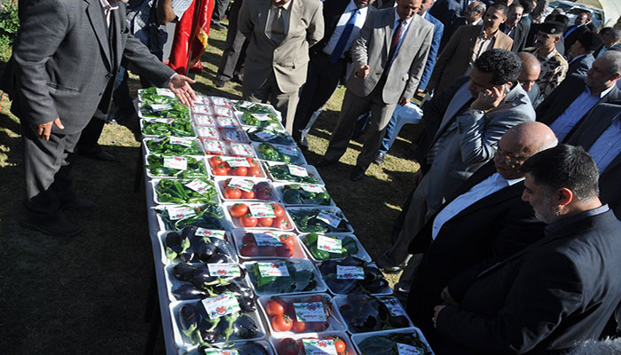 كربلاء:العتبة الحسينية تغرق السوق المحلية بالمنتجات الزراعية لعبور الازمة الاقتصادية (مصور)