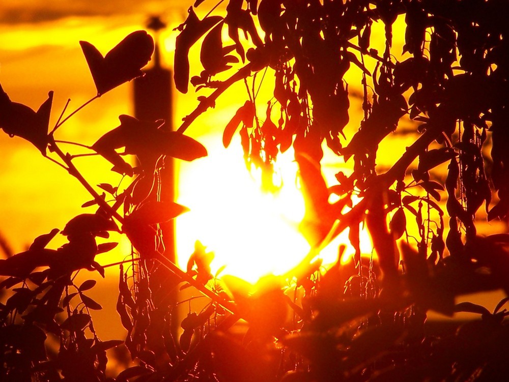 طقس العراق يتجاوز نصف درجة الغليان منتصف الاسبوع الحالي