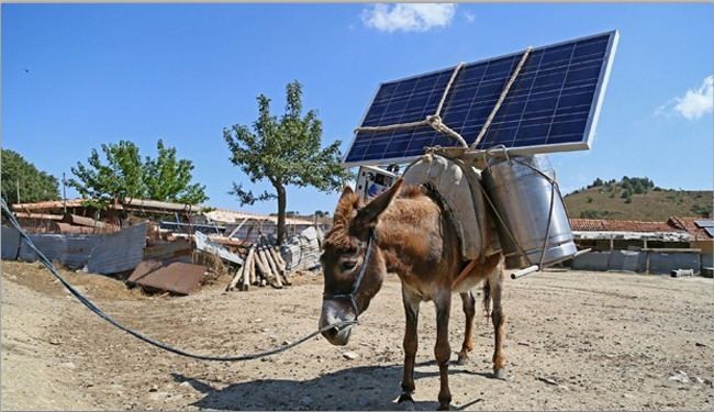 شاهد كيف يقوم رعاة اغنام في تركيا بتوليد الكهرباء على ظهور الحمير!