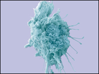 خطوة نحو اكتشاف لقاح ضد السرطان