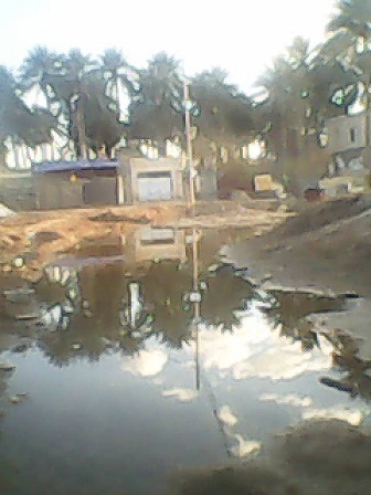 مياه امطار تتحول الى برك آسنة تنذر بخطر بيئي في قضاء الهندية شرق كربلاء (مصور)