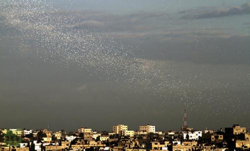منشورات عراقية على الموصل: ساعة الصفر في العملية ضد ‫‏داعش‬ قريبة