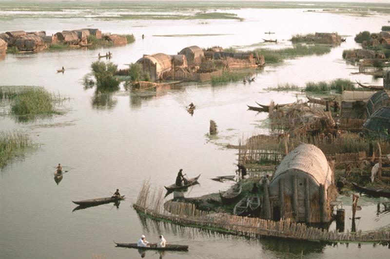 (مليكة القصب)